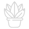 Planta Planta
