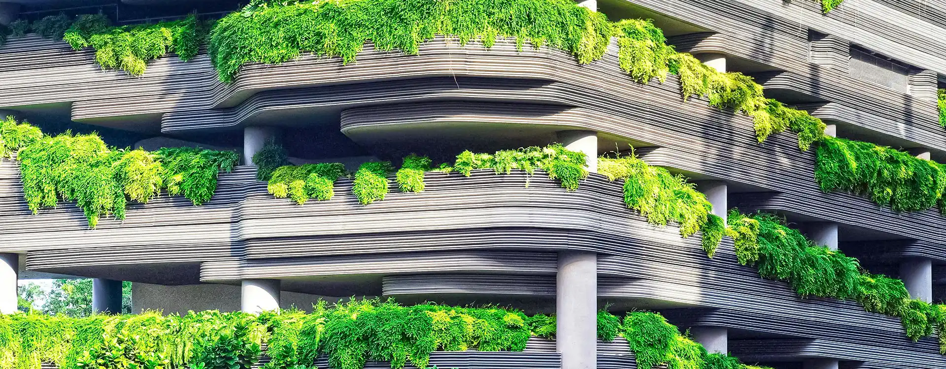 Diseño biofílico: cómo integrar la naturaleza en interiores urbanos